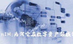 解密TokenIM：为何它在数字资产领域价值不明？