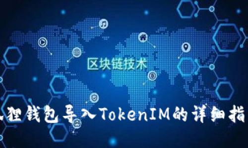 狐狸钱包导入TokenIM的详细指南