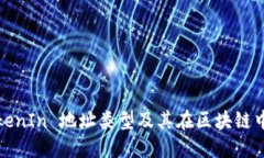 什么是TokenIn 地址类型及其