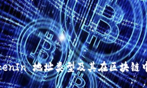 什么是TokenIn 地址类型及其在区块链中的重要性