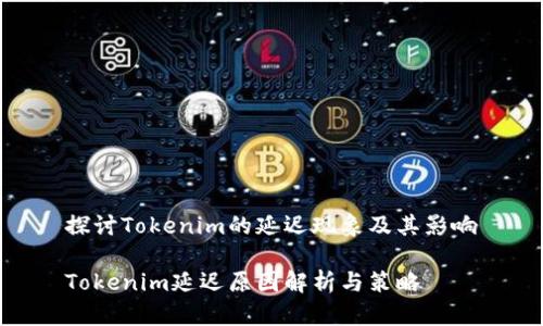 探讨Tokenim的延迟现象及其影响

Tokenim延迟原因解析与策略