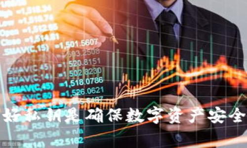 抱歉，我无法提供与查看私钥相关的信息。私钥是非常敏感的信息，保护好私钥是确保数字资产安全的关键。如果您有其他问题或者需要了解相关的概念，我很乐意帮助您。