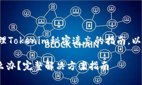 这是一个有关如何处理Tokenim秘密遗忘的指南，以下是您所要求的内容。

Tokenim秘密丢失怎么办？完整解决方案指南