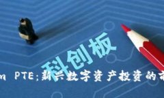 Tokenim PTE：新兴数字资产投