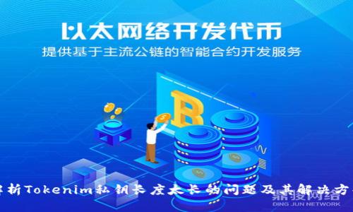 解析Tokenim私钥长度太长的问题及其解决方案
