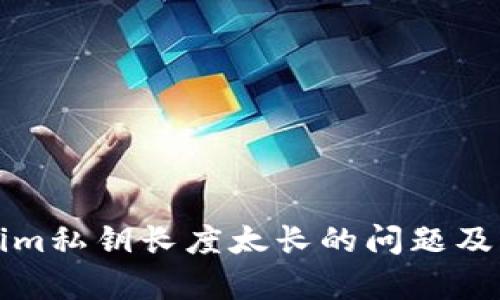 解析Tokenim私钥长度太长的问题及其解决方案