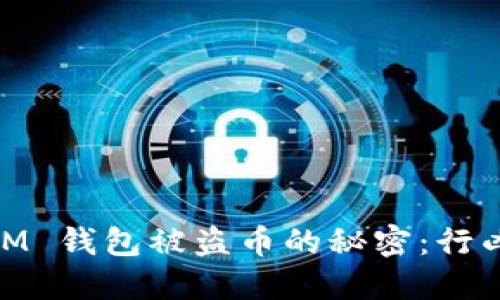 揭开 TokenTokenIM 钱包被盗币的秘密：行凶的原理与防范措施