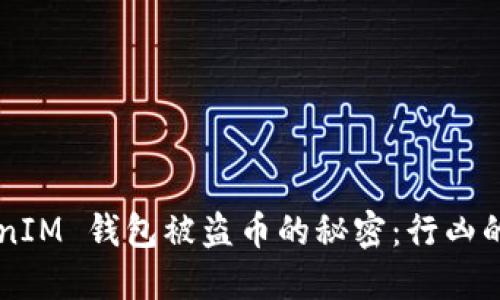 揭开 TokenTokenIM 钱包被盗币的秘密：行凶的原理与防范措施