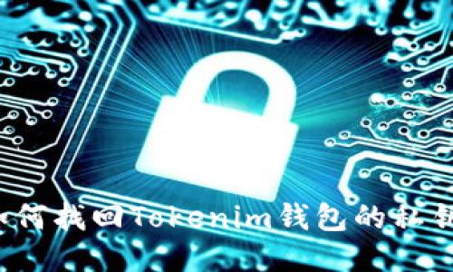 如何找回Tokenim钱包的私钥？