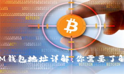 TokenIM钱包地址详解：你需要了解的一切