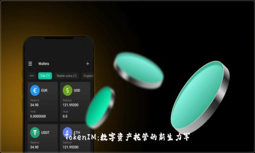 TokenIM：数字资产托管的新生力军