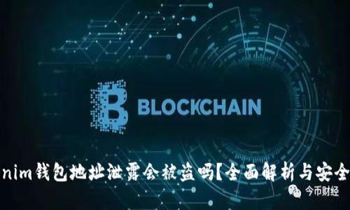 Tokenim钱包地址泄露会被盗吗？全面解析与安全建议