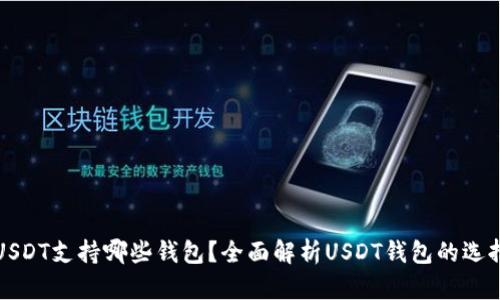USDT支持哪些钱包？全面解析USDT钱包的选择