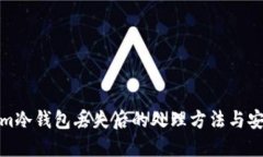 Tokenim冷钱包丢失后的处理