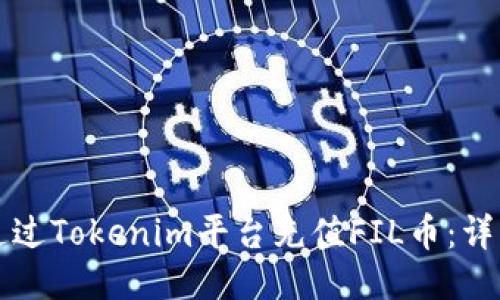 如何通过Tokenim平台充值FIL币：详细指南