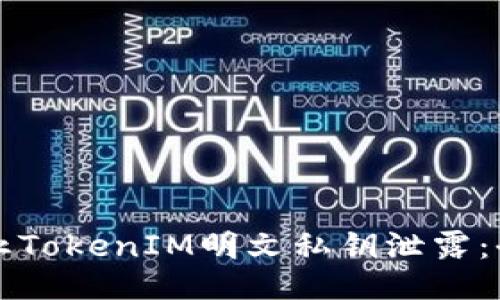 如何防止TokenIM明文私钥泄露：全面指南