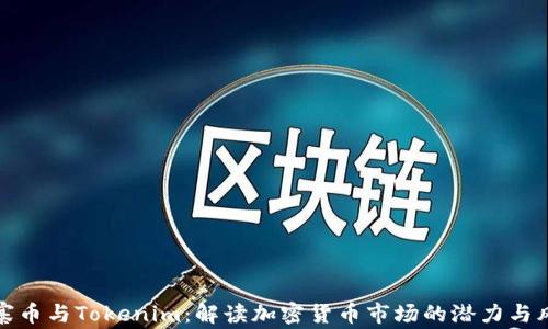
山寨币与Tokenim：解读加密货币市场的潜力与风险