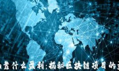 tokenim靠什么盈利：揭秘区