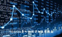 Tokenim导入私钥详细流程指