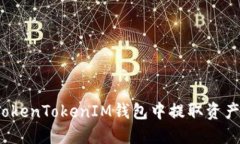 : 如何从TokenTokenIM钱包中提