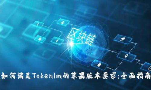 如何满足Tokenim的苹果版本要求：全面指南