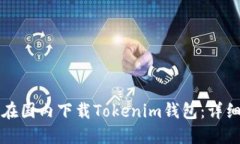 如何在国内下载Tokenim钱包