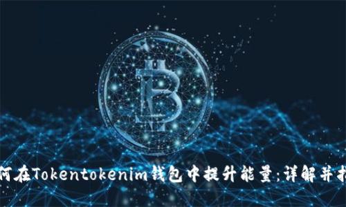 如何在Tokentokenim钱包中提升能量：详解并指南