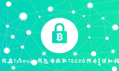 如何在Tokenim钱包中收取TRC20代币？详细指南