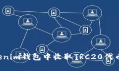 如何在Tokenim钱包中收取