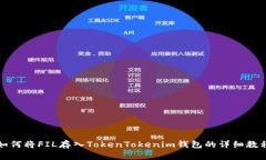 如何将FIL存入TokenTokenim钱