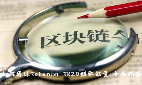 如何通过Tokenim TR20赚取能量：全面指南