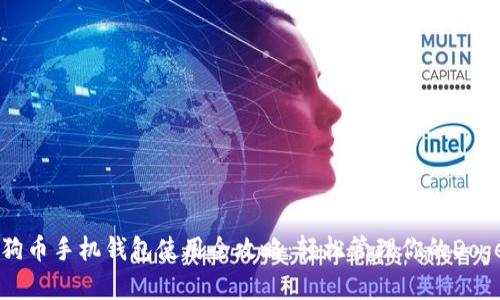 狗狗币手机钱包使用全攻略：轻松管理你的Doge币