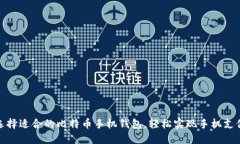 选择适合的比特币手机钱