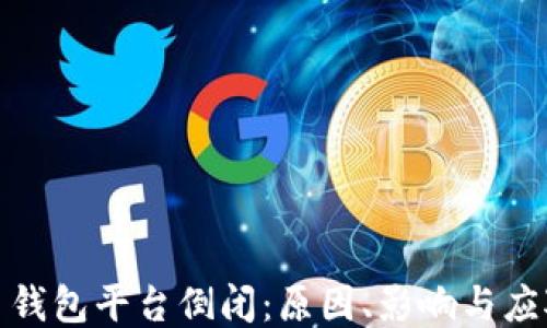 
比特币钱包平台倒闭：原因、影响与应对措施