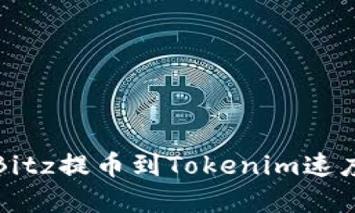 如何解决Bitz提币到Tokenim速度慢的问题