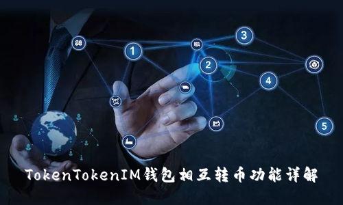 TokenTokenIM钱包相互转币功能详解