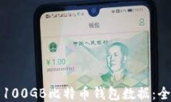 如何管理100GB比特币钱包数