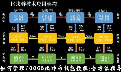 
如何管理100GB比特币钱包数据：全方位指导