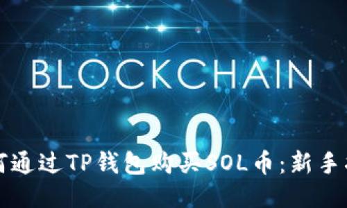 如何通过TP钱包购买SOL币：新手指南