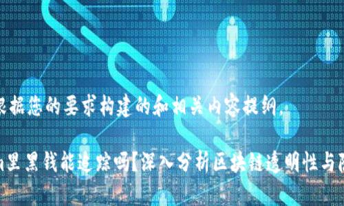 以下是根据您的要求构建的和相关内容提纲。

tokenim里黑钱能追踪吗？深入分析区块链透明性与隐私保护