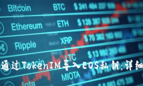 如何通过TokenIM导入EOS私钥：详细指南