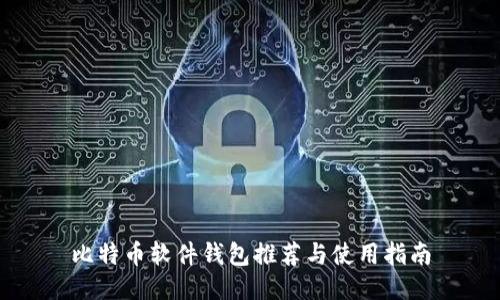 比特币软件钱包推荐与使用指南