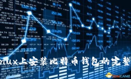 在Linux上安装比特币钱包的完整指南