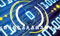 比特币钱包丢失原因及解
