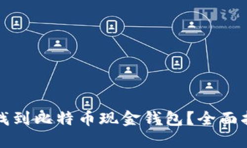 哪里可以找到比特币现金钱包？全面指南与推荐