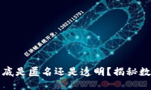 以太坊电子钱包到底是匿名还是透明？揭秘数字货币的隐私特性