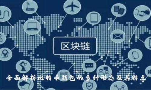 全面解析比特币钱包的多种形态及其特点