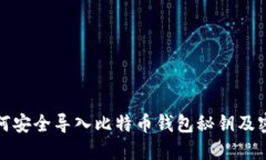 如何安全导入比特币钱包