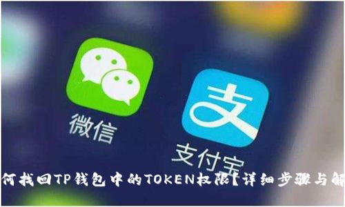 如何找回TP钱包中的TOKEN权限？详细步骤与解答