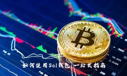 如何使用Sol钱包：一站式指南